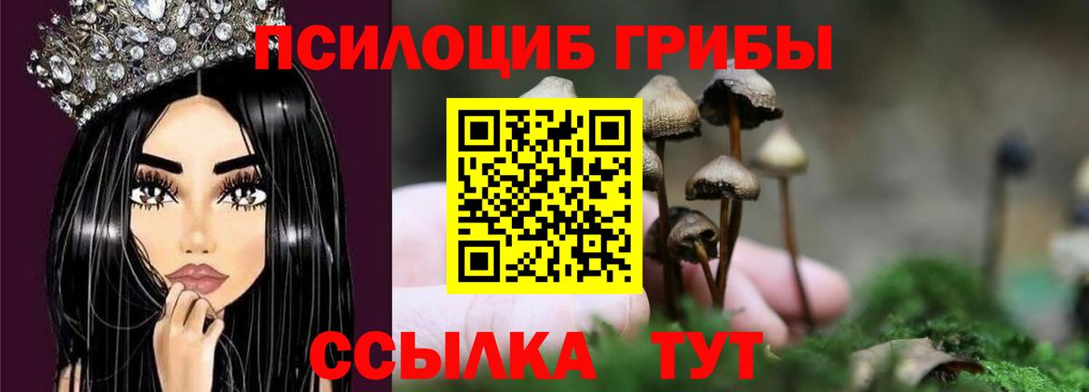 Псилоцибиновые грибы Magic Shrooms  купить   Губаха  Вход с VPN 